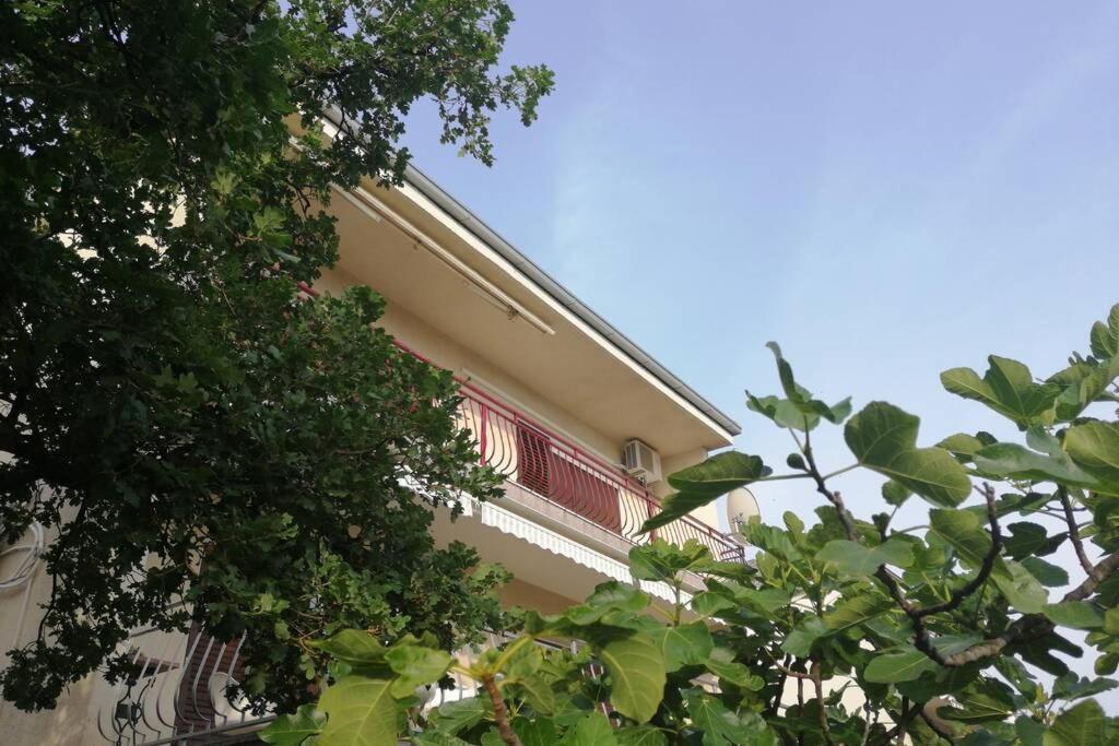 Spacious 2-Room Apartment With Beautiful Sea View 茨里克韦尼察 外观 照片