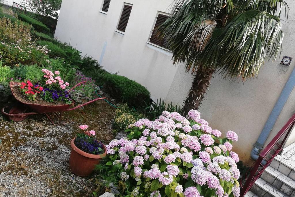 Spacious 2-Room Apartment With Beautiful Sea View 茨里克韦尼察 外观 照片
